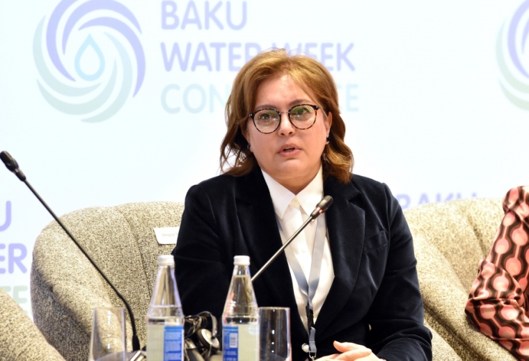 Azərbaycan COP29-da su ilə bağlı problemi iştirakçı dövlətlər qarşısında qaldıracaq