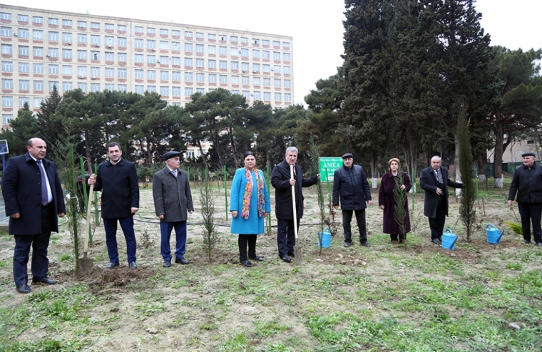 AMEA-nın Nadir ağaclar parkında növbəti ağacəkmə aksiyası keçirilib