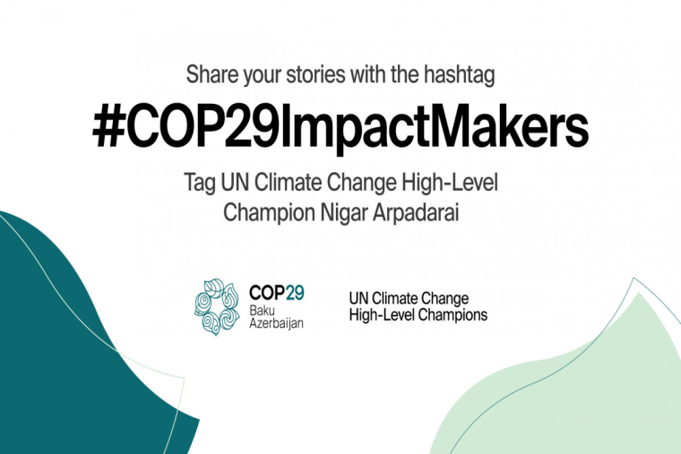 COP29-la bağlı qlobal kampaniya başladıldı