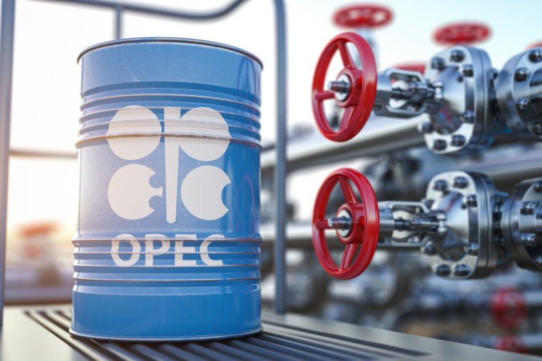 “Qazprom Neft”in rəhbəri “OPEC+”a çağırış etdi