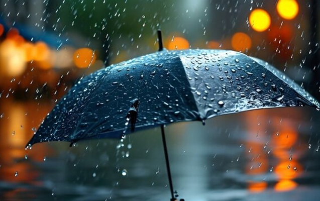 Fevralın 19-da gözlənilən hava şəraiti