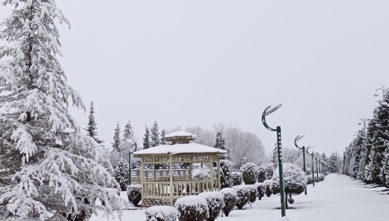 Tərtərə ilk qar yağıb