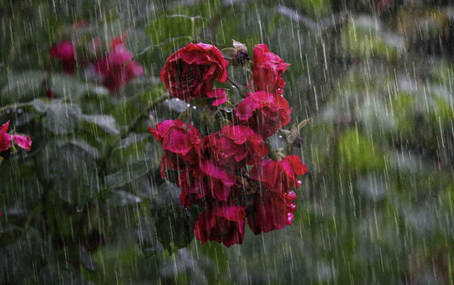 Martın 22-də gözlənilən hava şəraiti