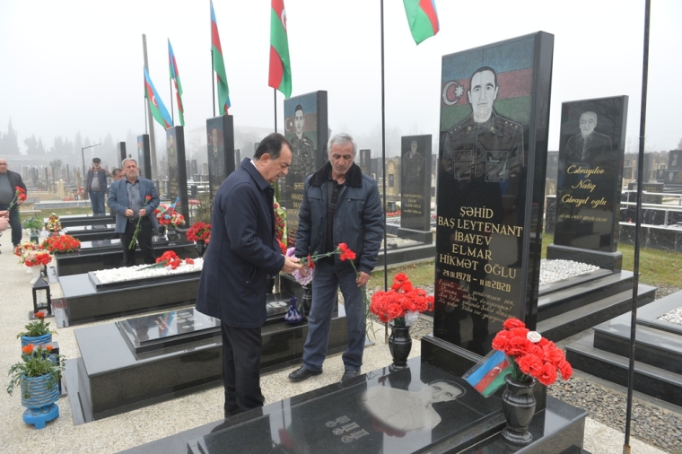 Lənkəranda “Konstitusiya və Suverenlik İli” çərçivəsində ağacəkmə aksiyası keçirilib