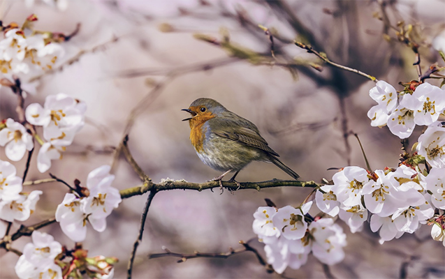 Aprelin 20-də gözlənilən hava şəraiti
