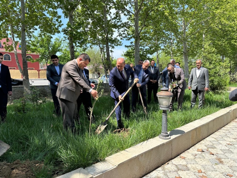 Beyləqanda “Konstitusiya və Suverenlik İli” çərçivəsində ağacəkmə aksiyası keçirilib