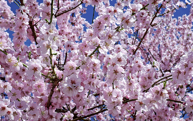 Aprelin 23-də gözlənilən hava şəraiti