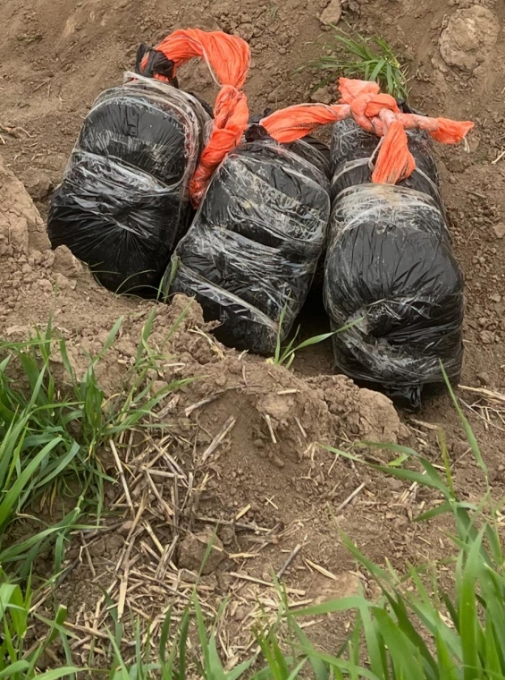 Dövlət sərhədini pozan mütəşəkkil cinayətkar dəstənin qarşısı alınmışdır