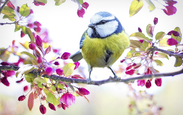 Aprelin 21-də gözlənilən hava şəraiti