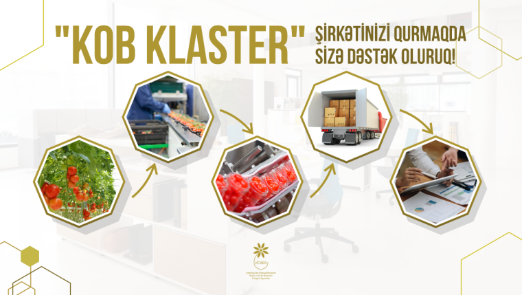 Klasterləşmə təşəbbüsü olan sahibkarların nəzərinə!