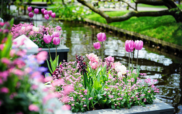 Aprelin 3-də gözlənilən hava şəraiti