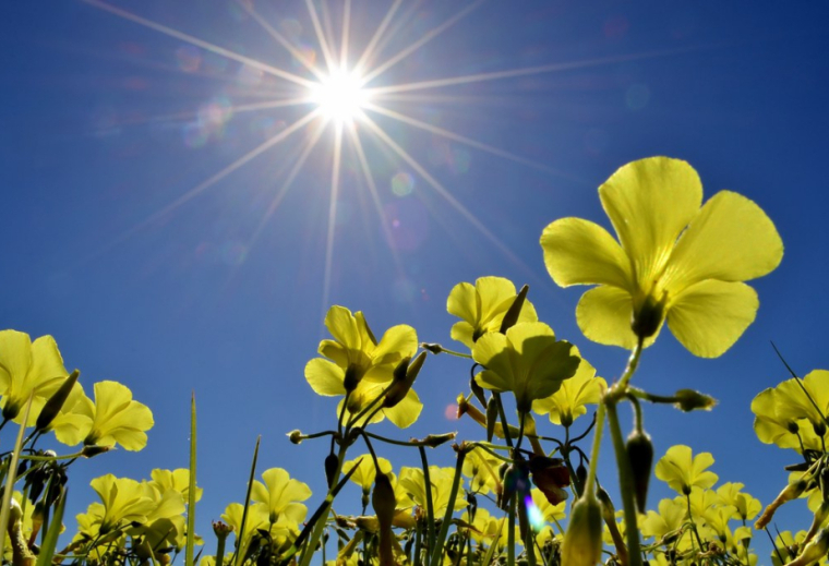 Mayın ayının son gününün havası necə olacaq