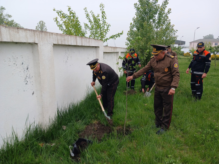 FHN-in Şimal-qərb Regional Mərkəzi ağacəkmə aksiyası keçirib