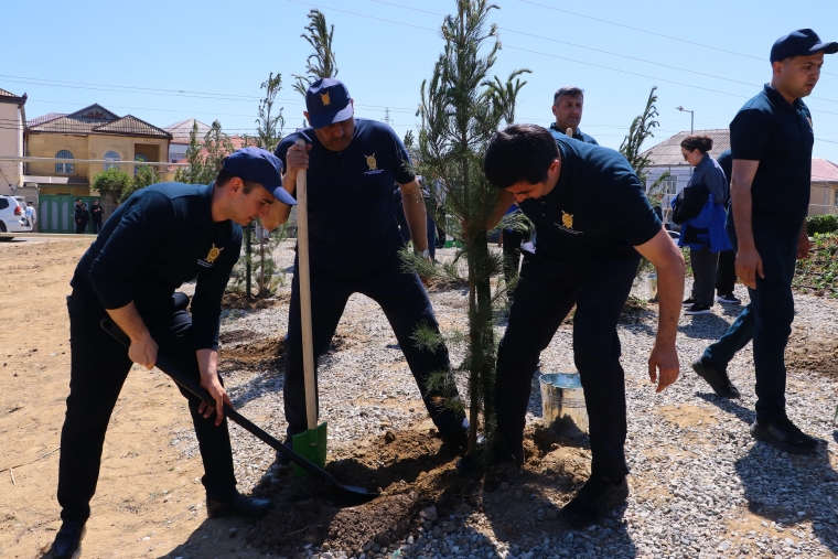 ECOLEAD layihəsi uğurla icra olunur