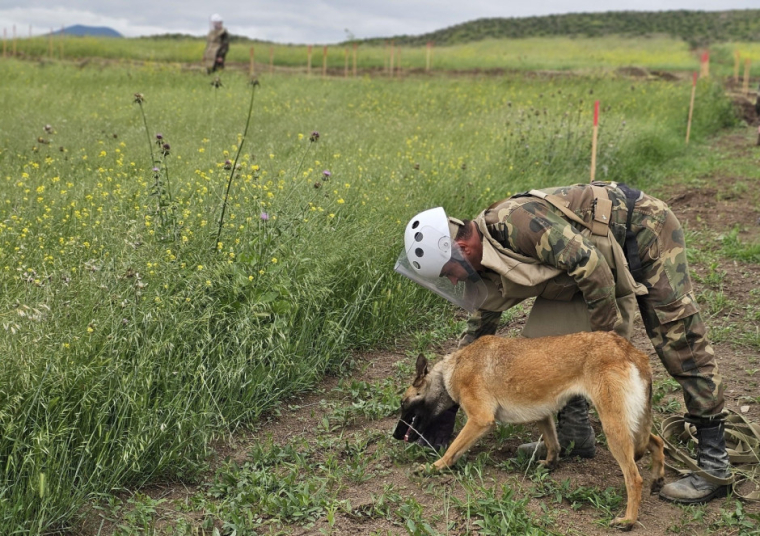 Media nümayəndələri humanitar minatəmizləmə fəaliyyətinin gedişatı ilə tanış olub