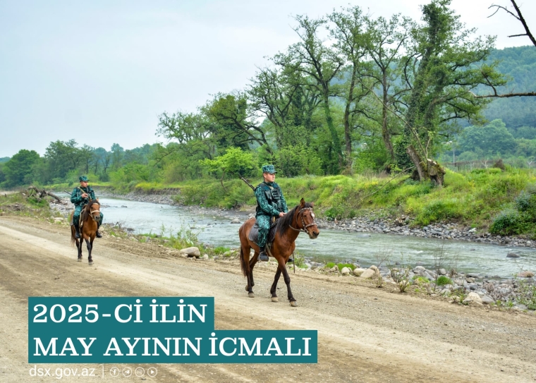DSX: 2025-ci ilin may ayının icmalı