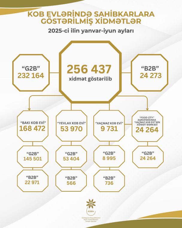 Bu ilin I yarısında KOB evlərində sahibkarlara 260 minə yaxın xidmət göstərilib