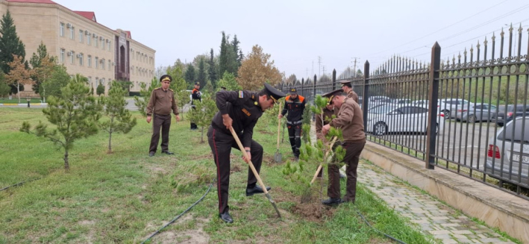 FHN-in Aran Regional Mərkəzi ağacəkmə aksiyası keçirib