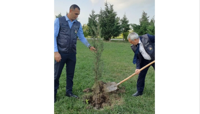 Kəsilmiş ağacların əvəzinə yeni ağaclar əkilib, identifikasiya etiketi vurulub