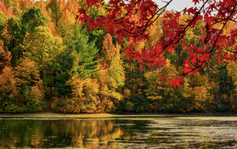 Noyabrın 9-da gözlənilən hava şəraiti