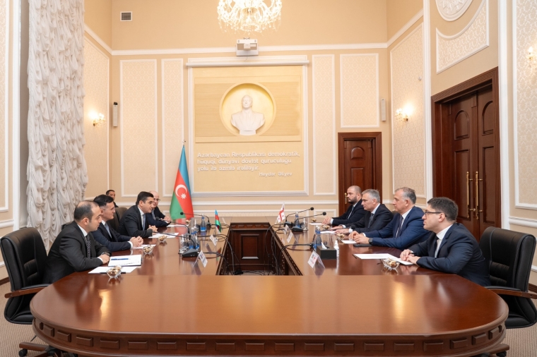 Fərid Əhmədov Gürcüstanın ədliyyə naziri ilə görüşüb