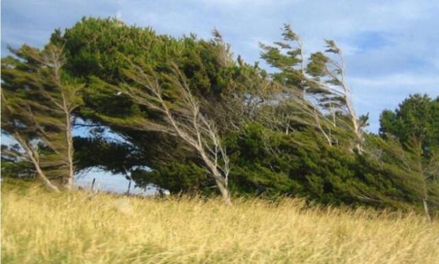 Noyabrın 2-də gözlənilən hava şəraiti Noyabrın 2-də gözlənilən hava şəraiti