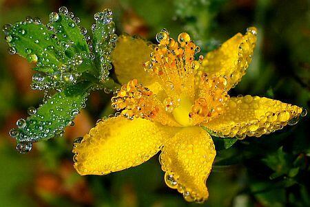 Noyabrın 5-də gözlənilən hava şəraiti