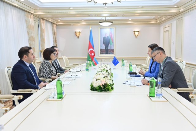 Milli Məclisin sədri Sahibə Qafarova Avropa İttifaqının Azərbaycandakı nümayəndəliyinin rəhbəri ilə görüşüb