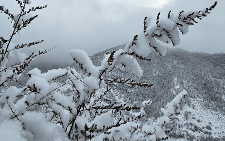 Yanvarın 16-da gözlənilən hava şəraiti