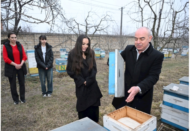 Leyla Əliyeva Qubada arıçı ailəsinin qonağı oldu