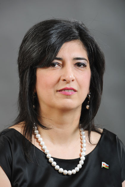 Professor: "Azərbaycanla Birləşmiş Ərəb Əmirliyi arasındakı əlaqələr yeni mərhələyə qədəm qoyur"