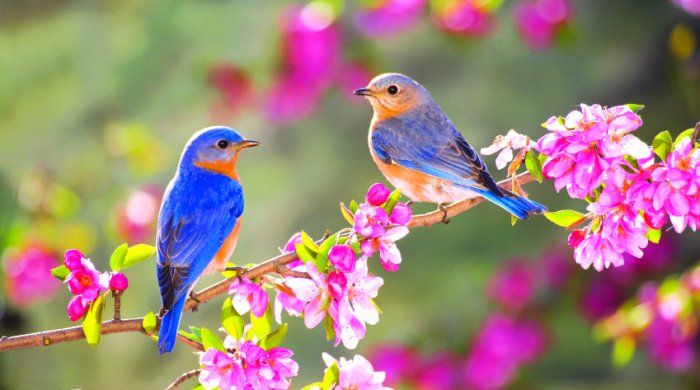 Aprelin 22-də gözlənilən hava şəraiti