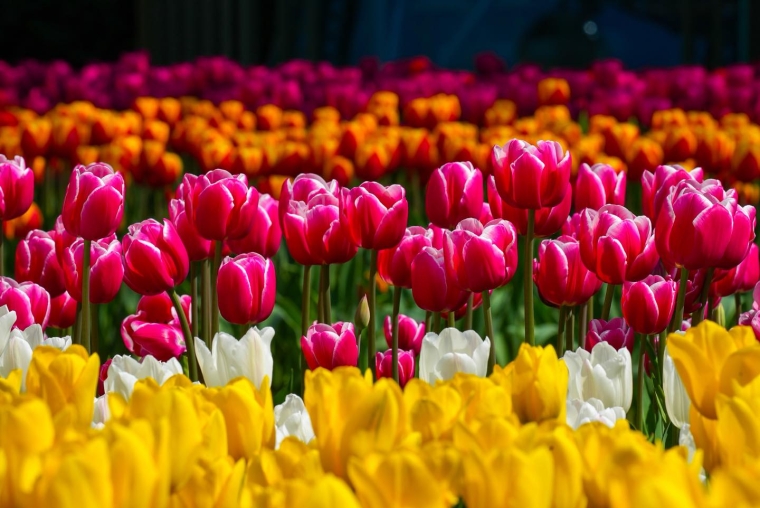 Aprelin 18-də gözlənilən hava şəraiti