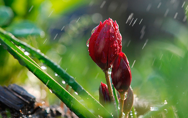 Aprelin 12-də gözlənilən hava şəraiti