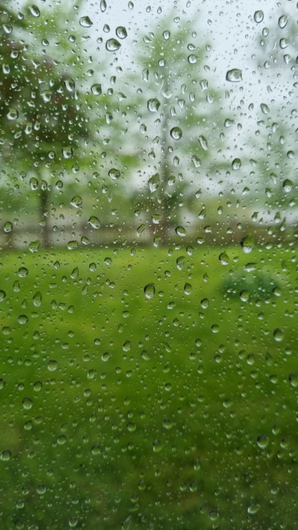 Ölkə ərazisində qeyri-sabit hava şəraiti davam edib