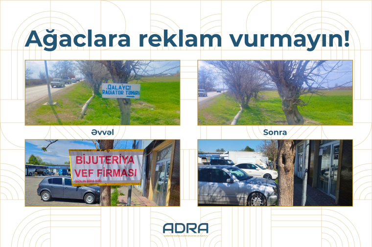 ADRA ağaclara yerləşdirilən 267 qanunsuz reklam qurğusunu söküb